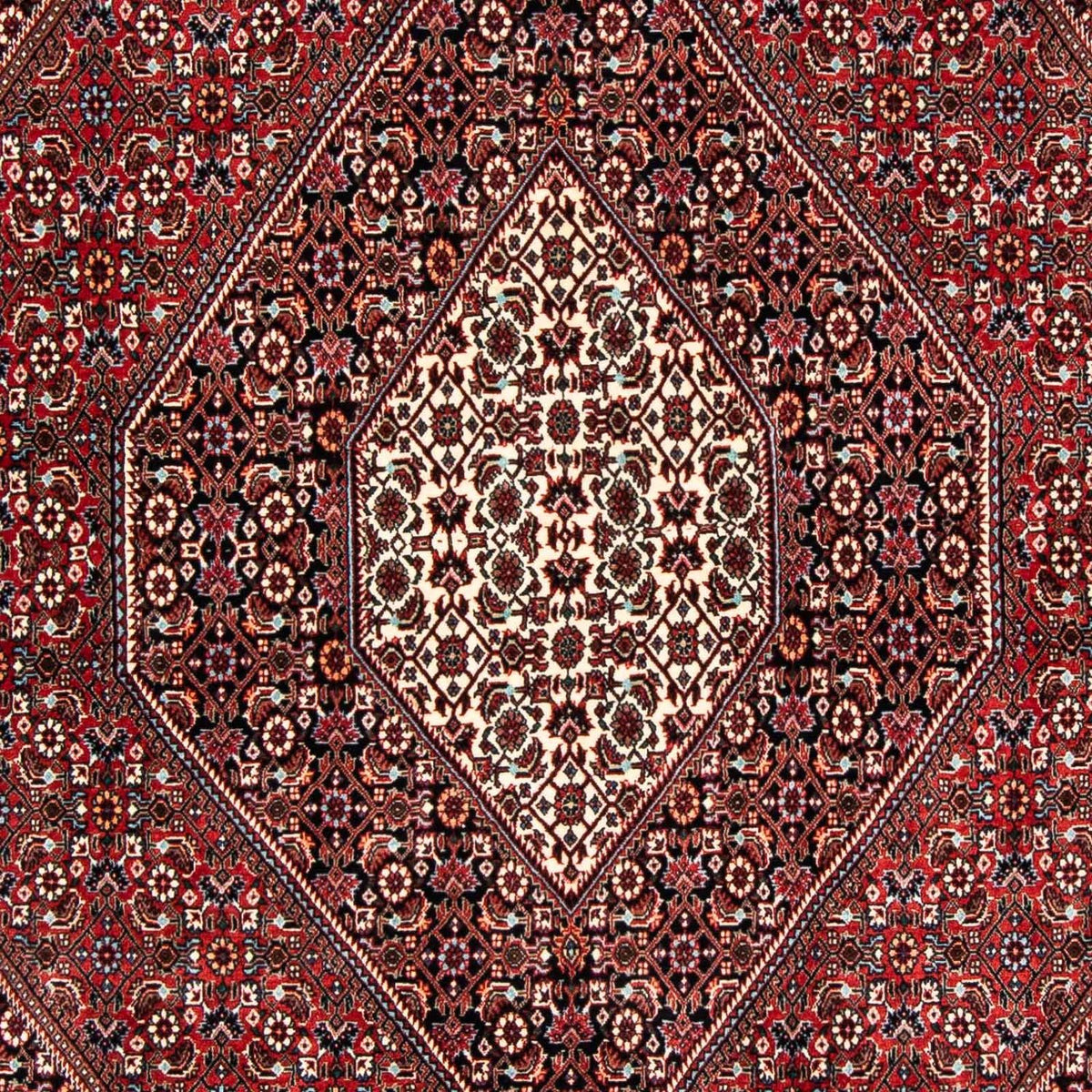 Tapis persan - Bidjar - 252 x 172 cm - rouge foncé