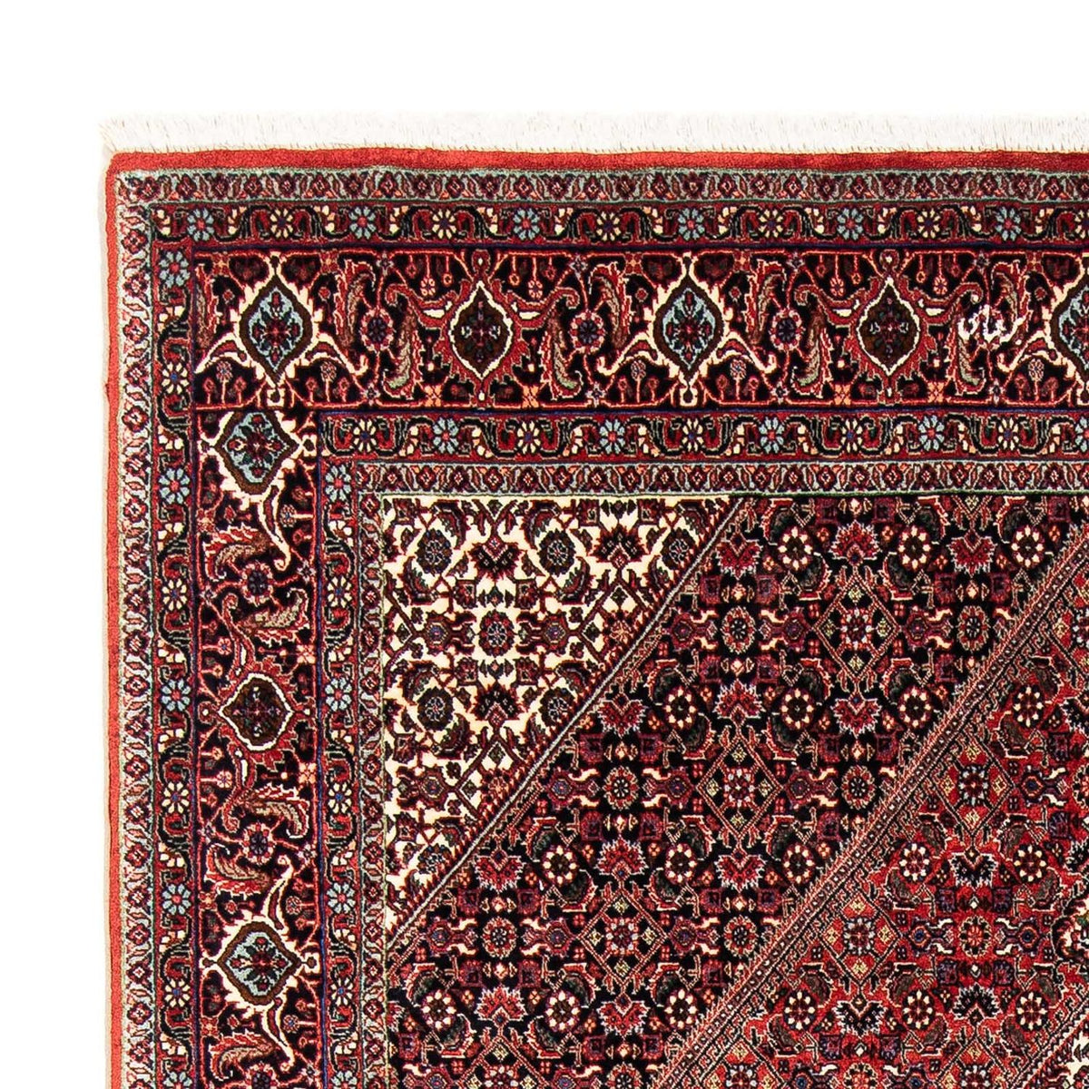 Tapis persan - Bidjar - 245 x 167 cm - rouge foncé