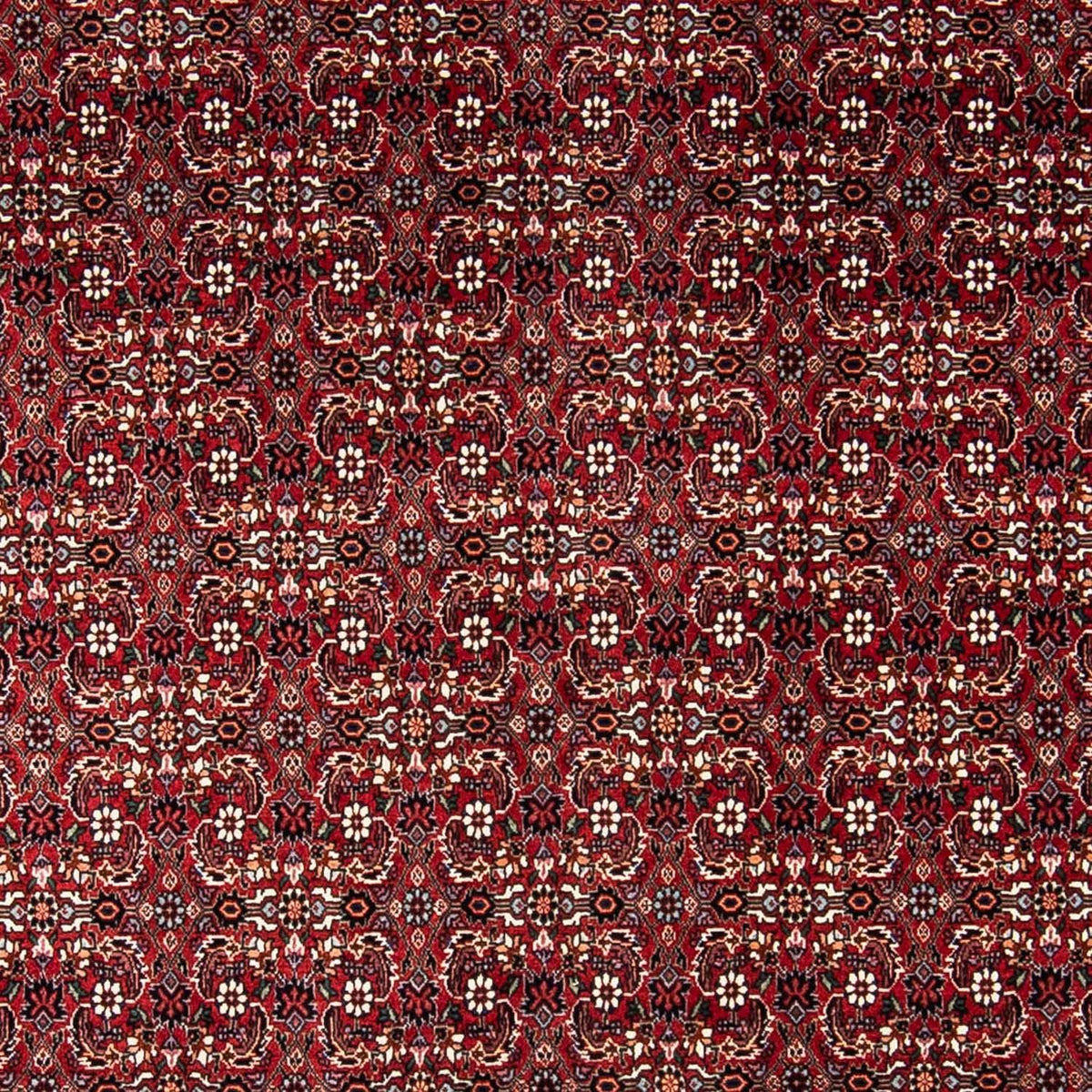 Tapis persan - Bidjar - 240 x 168 cm - rouge foncé