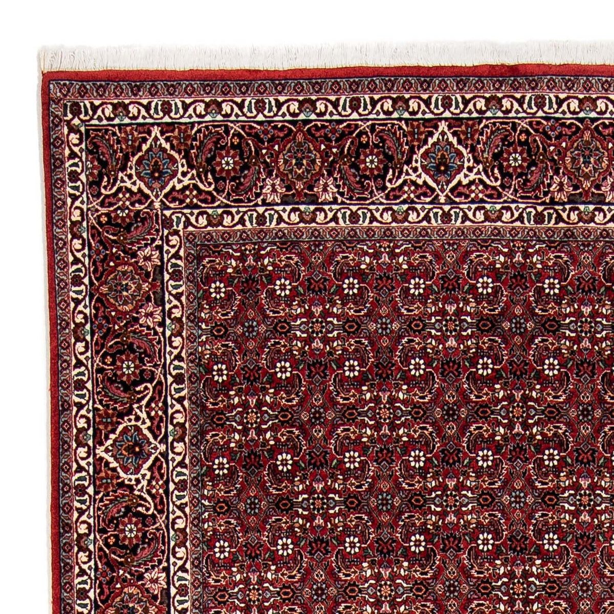 Tapis persan - Bidjar - 240 x 168 cm - rouge foncé