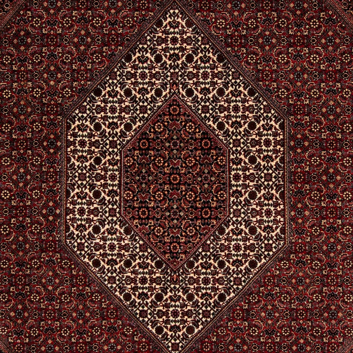 Tapis persan - Bidjar - 252 x 208 cm - rouge foncé