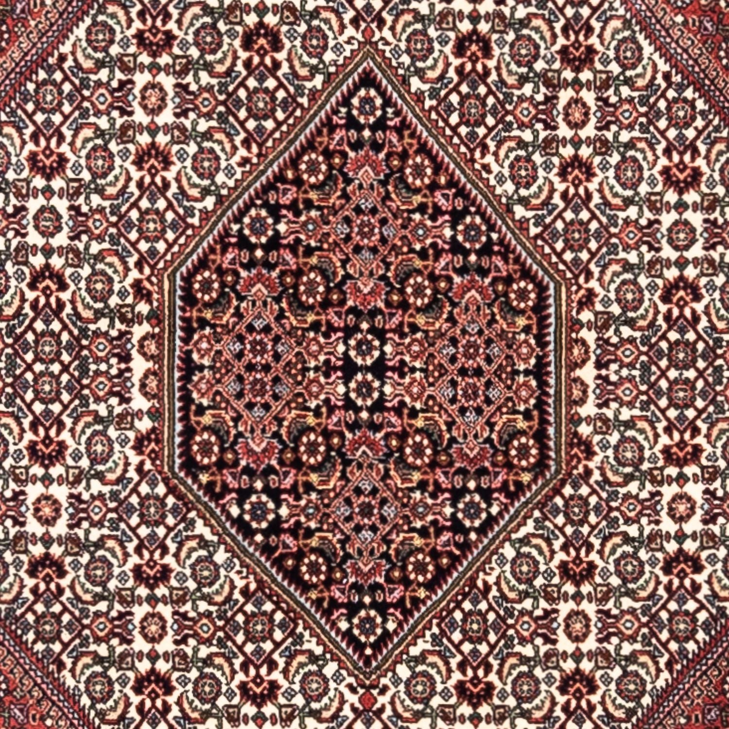 Tapis persan - Bidjar - 295 x 200 cm - rouge