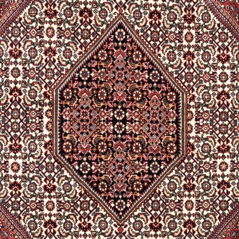 Tapis persan - Bidjar - 295 x 200 cm - rouge