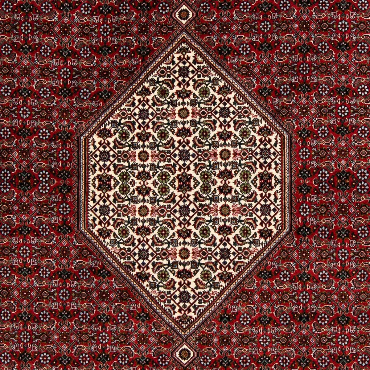 Tapis persan - Bidjar carré  - 203 x 196 cm - rouge foncé