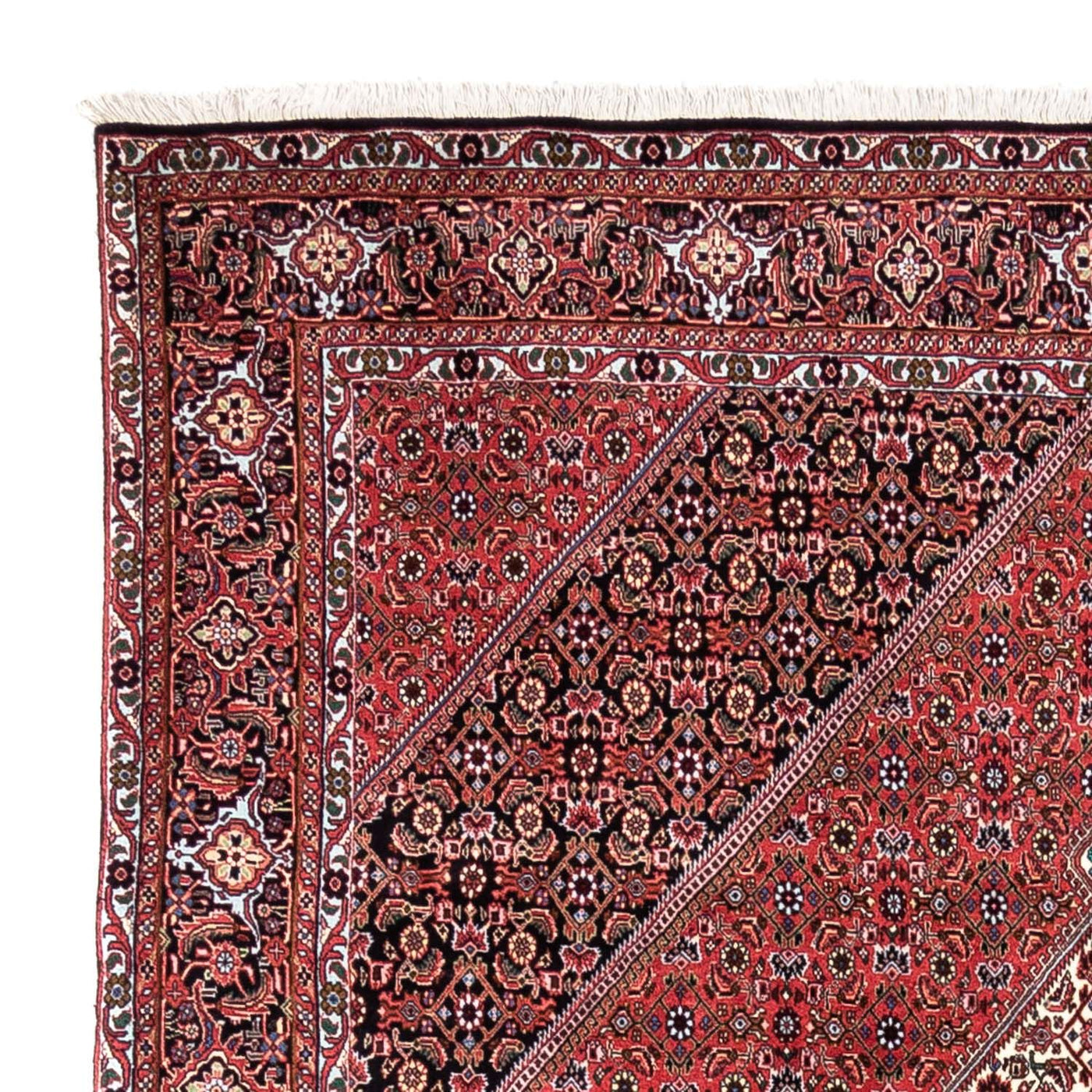 Bidjar - Takab Tapis 300x200cm - Tapis persan