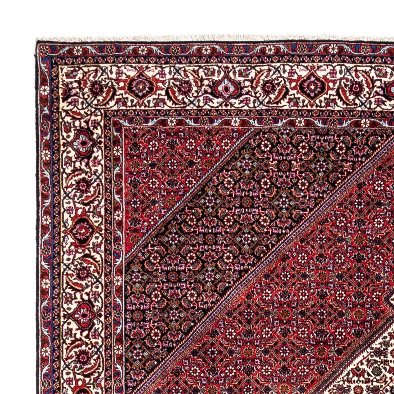 Tapis persan - Bidjar - 302 x 200 cm - rouge