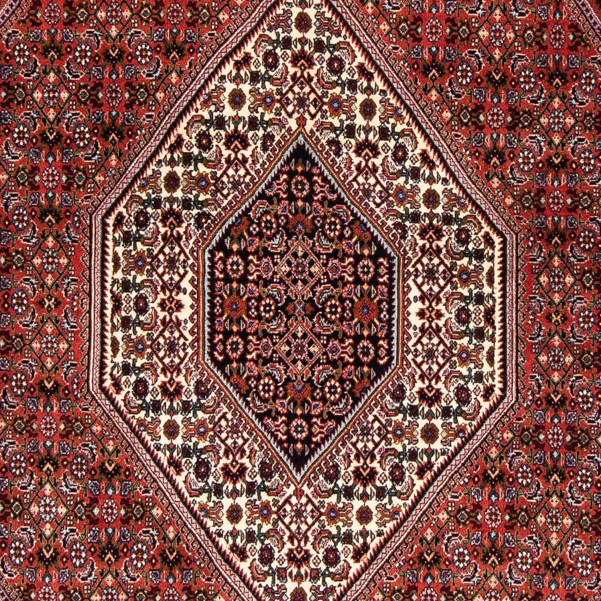 Tapis persan - Bidjar - 263 x 168 cm - rouge