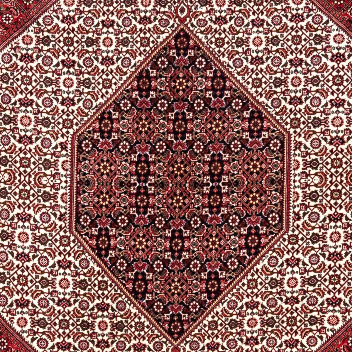 Tapis persan - Bidjar - 360 x 253 cm - rouge