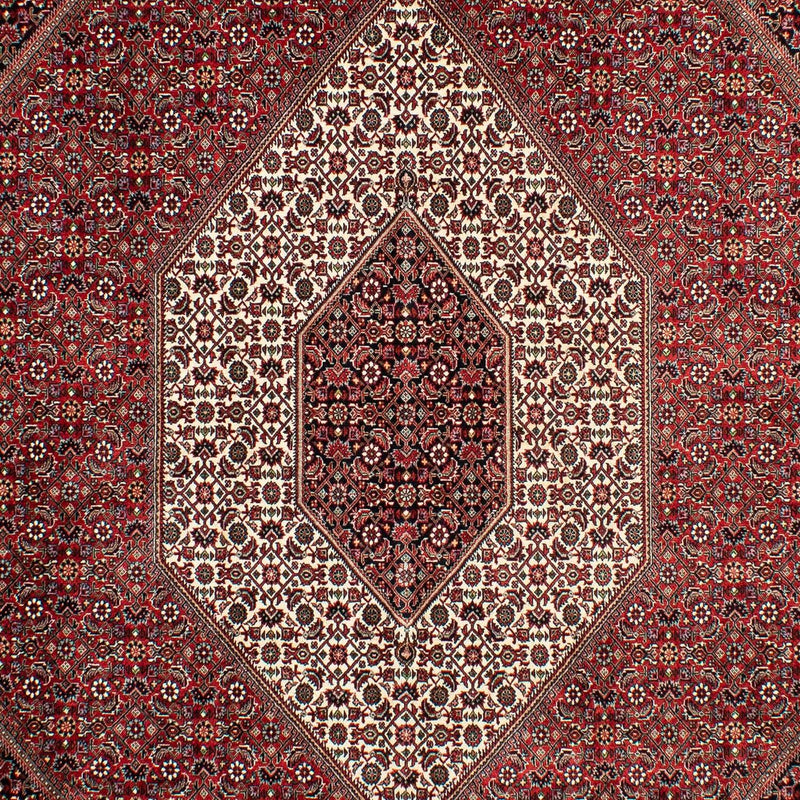 Tapis persan - Bidjar - 298 x 200 cm - rouge foncé
