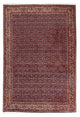 Tapis de Bidjar Tapis 168x237cm - Tapis persan