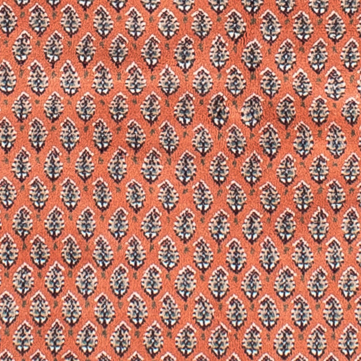 Tapis persan - Tabriz - 243 x 171 cm - rouge clair