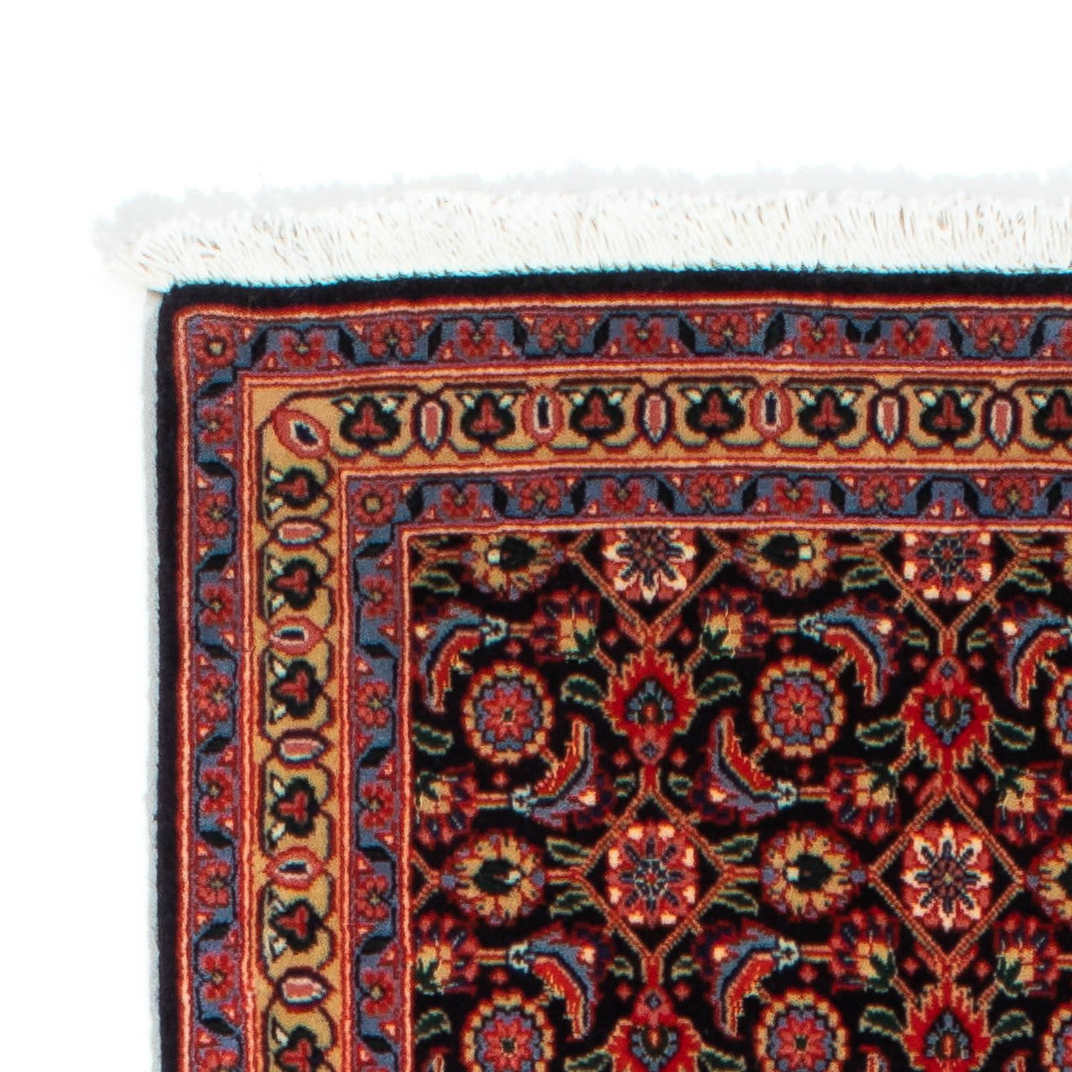 Tapis de couloir Tapis persan - Tabriz - 203 x 63 cm - rouille