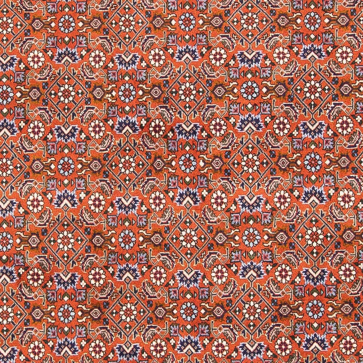Tapis persan - Bidjar - 160 x 110 cm - orange