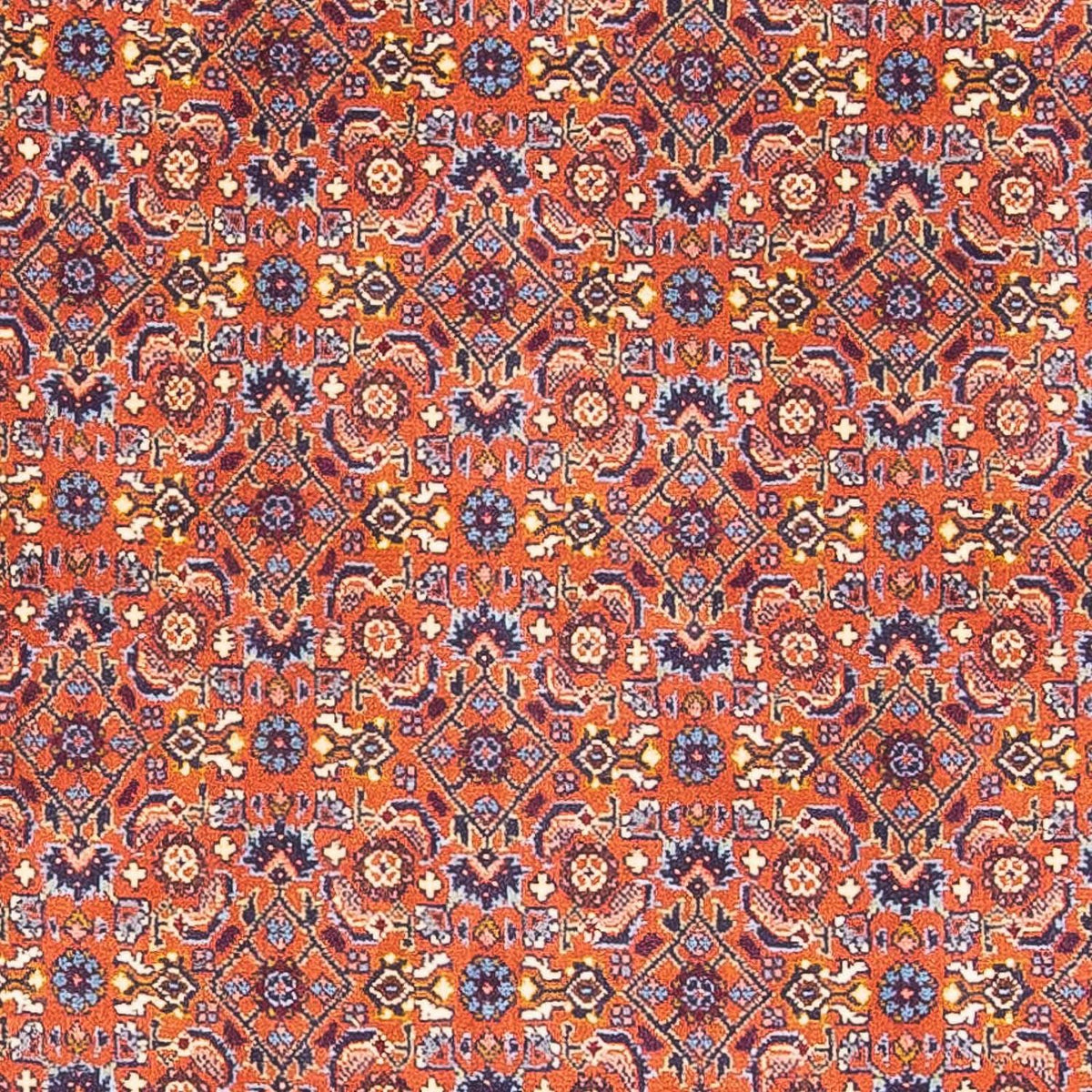 Tapis persan - Bidjar - 132 x 87 cm - rouge