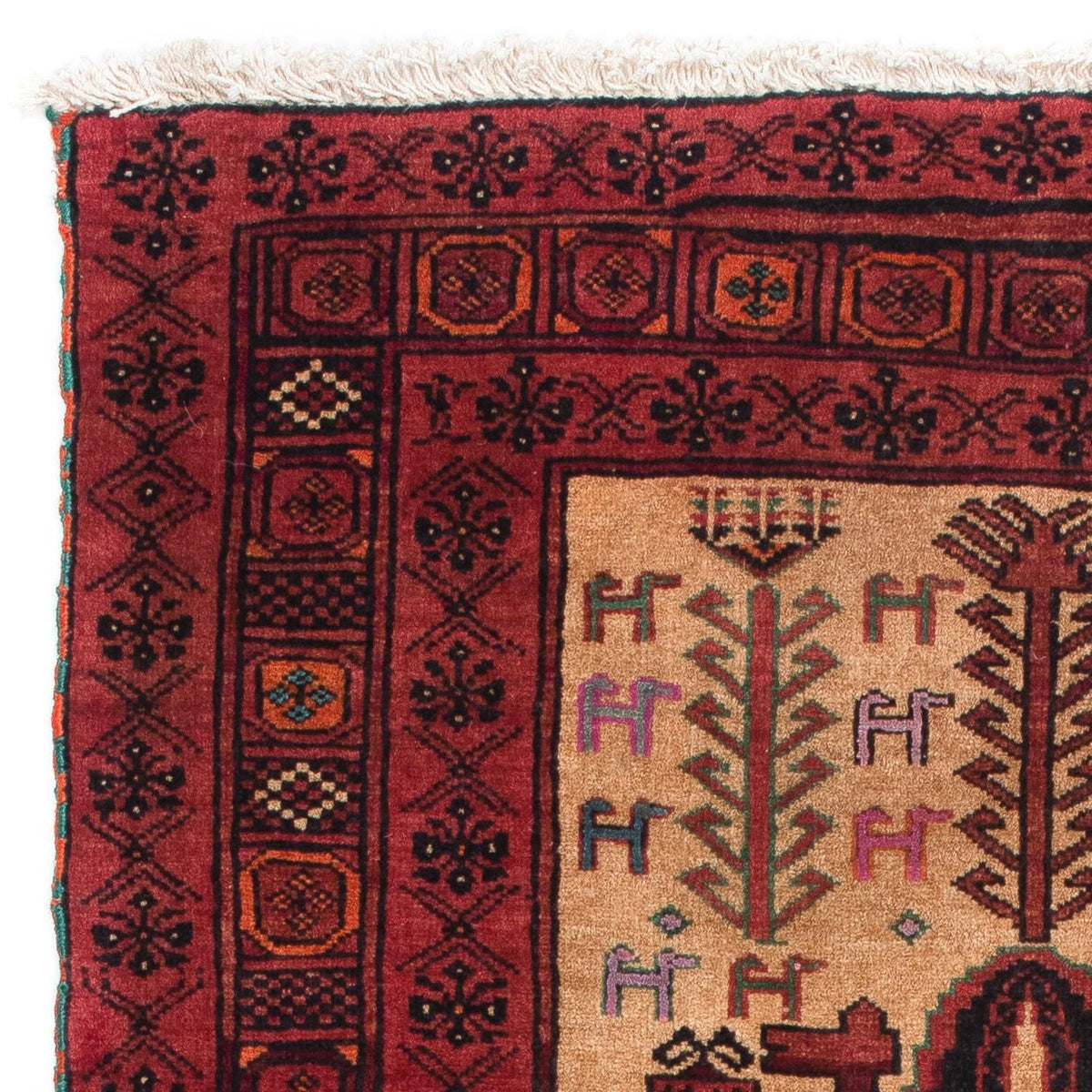 Tapis Belutsch 82x135cm - Tapis oriental