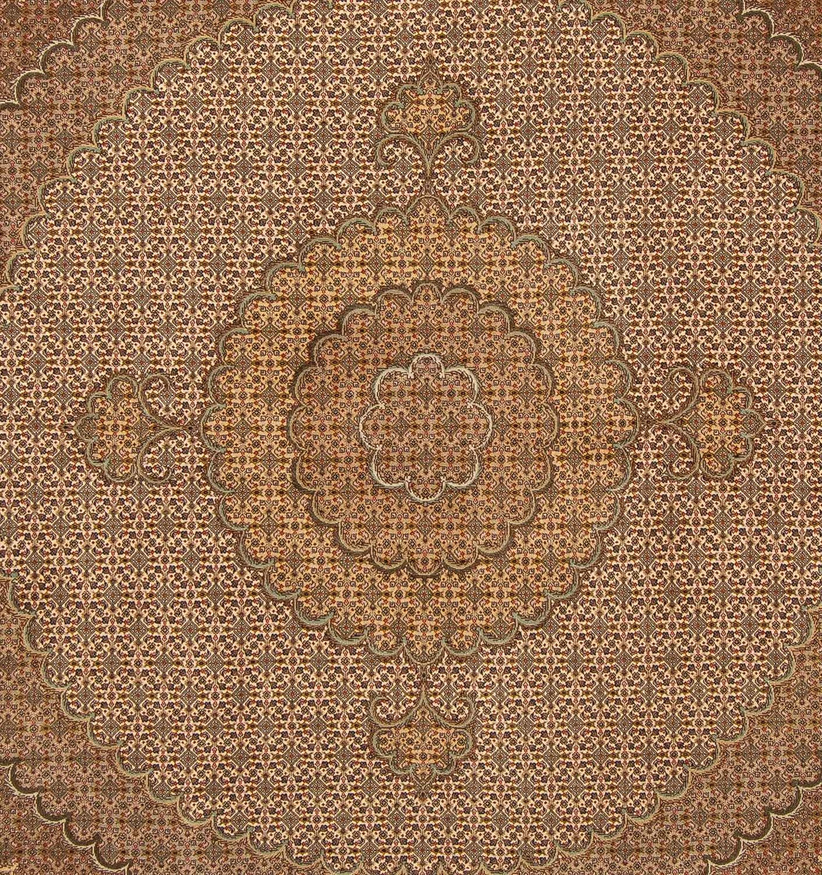 Tapis persan - Tabriz carré  - 208 x 204 cm - marron clair