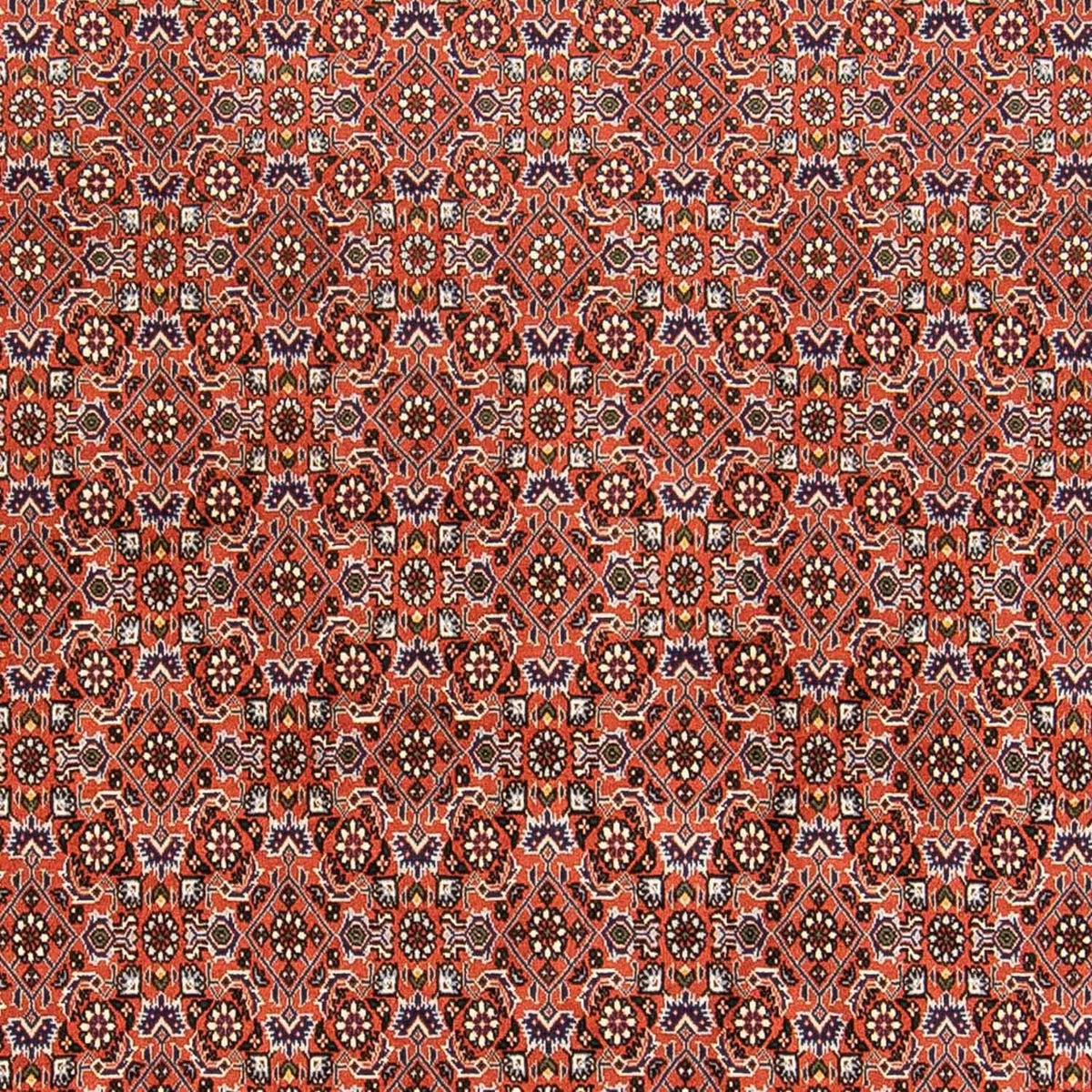 Tapis persan - Bidjar - 230 x 168 cm - rouille