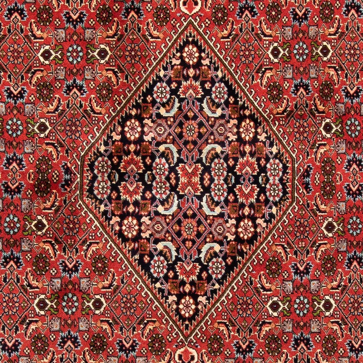 Tapis persan - Bidjar - 247 x 169 cm - rouge foncé