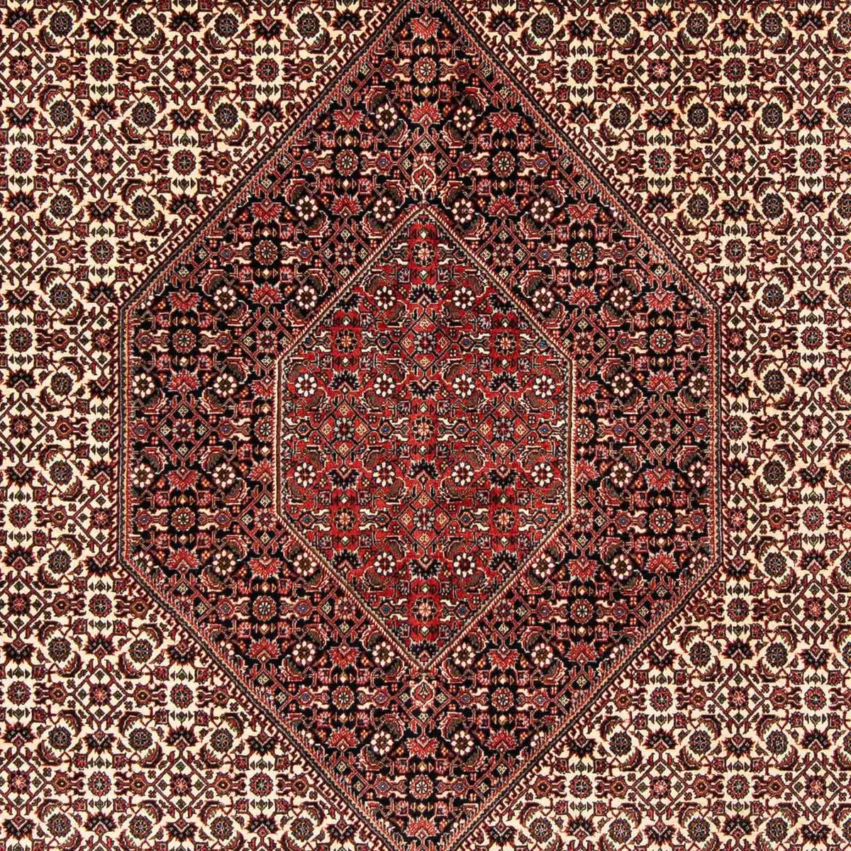 Tapis persan - Bidjar - 254 x 203 cm - rouge foncé