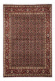 Tapis de Hosseinabad Tapis 170x250cm - Tapis persan