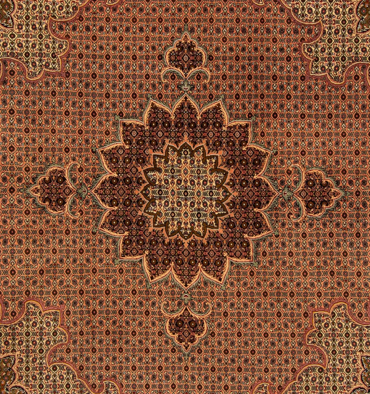 Tapis persan - Tabriz carré  - 206 x 206 cm - marron