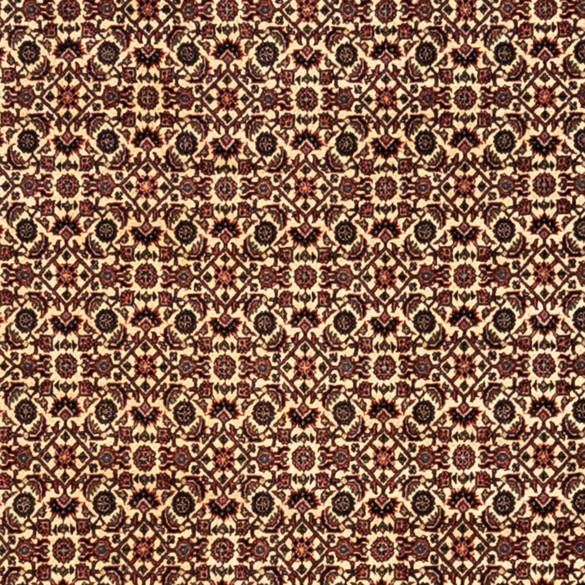 Tapis persan - Bidjar - 302 x 208 cm - beige