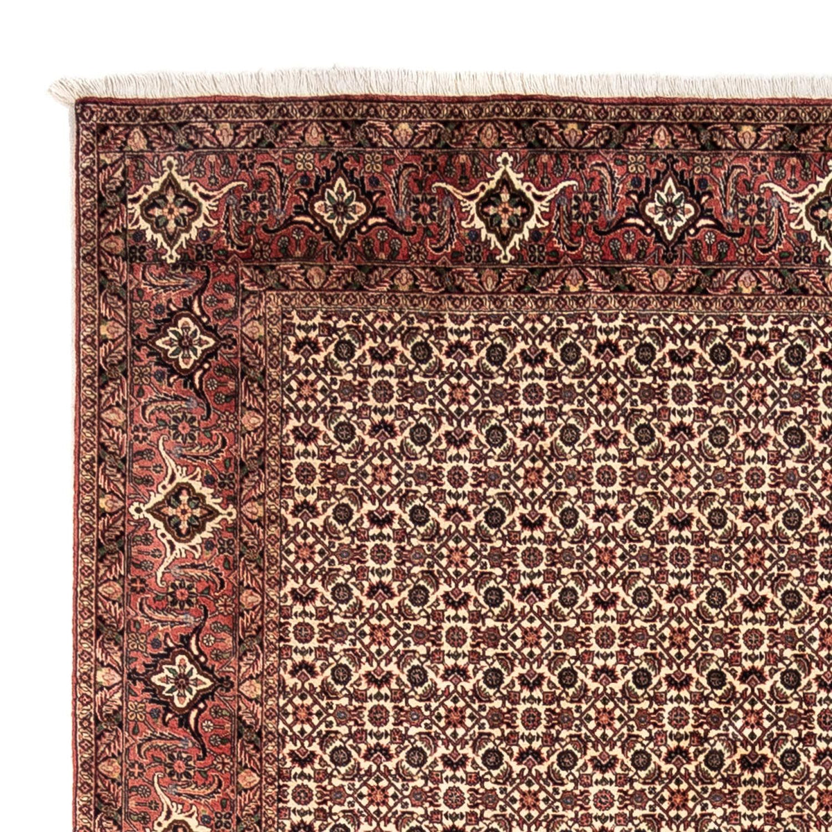 Tapis persan - Bidjar - 302 x 208 cm - beige