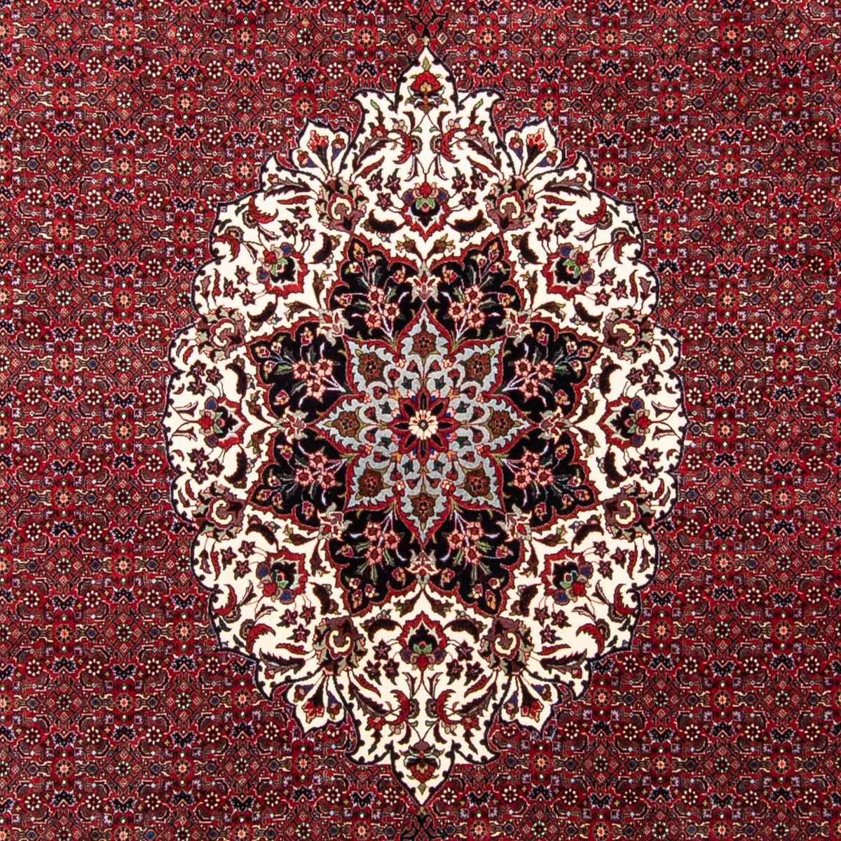 Tapis persan - Bidjar - 343 x 260 cm - rouge foncé