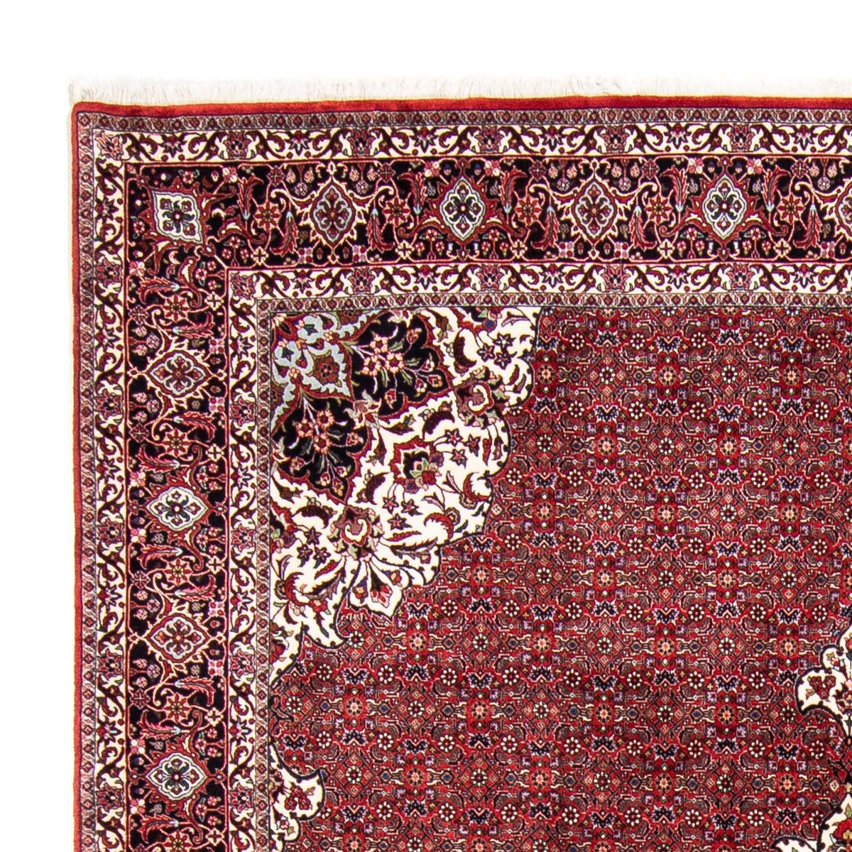 Tapis de Bidjar Tapis 260x343cm - Tapis persan