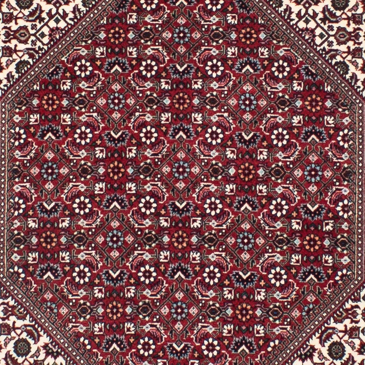 Tapis de couloir Tapis persan - Bidjar - 300 x 85 cm - beige