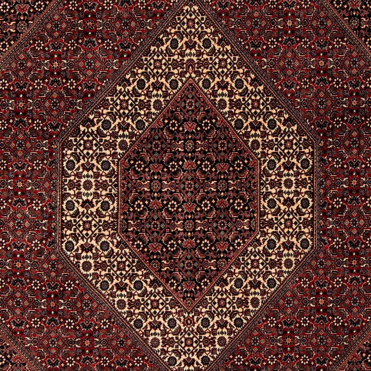 Tapis persan - Bidjar - 249 x 200 cm - rouge foncé
