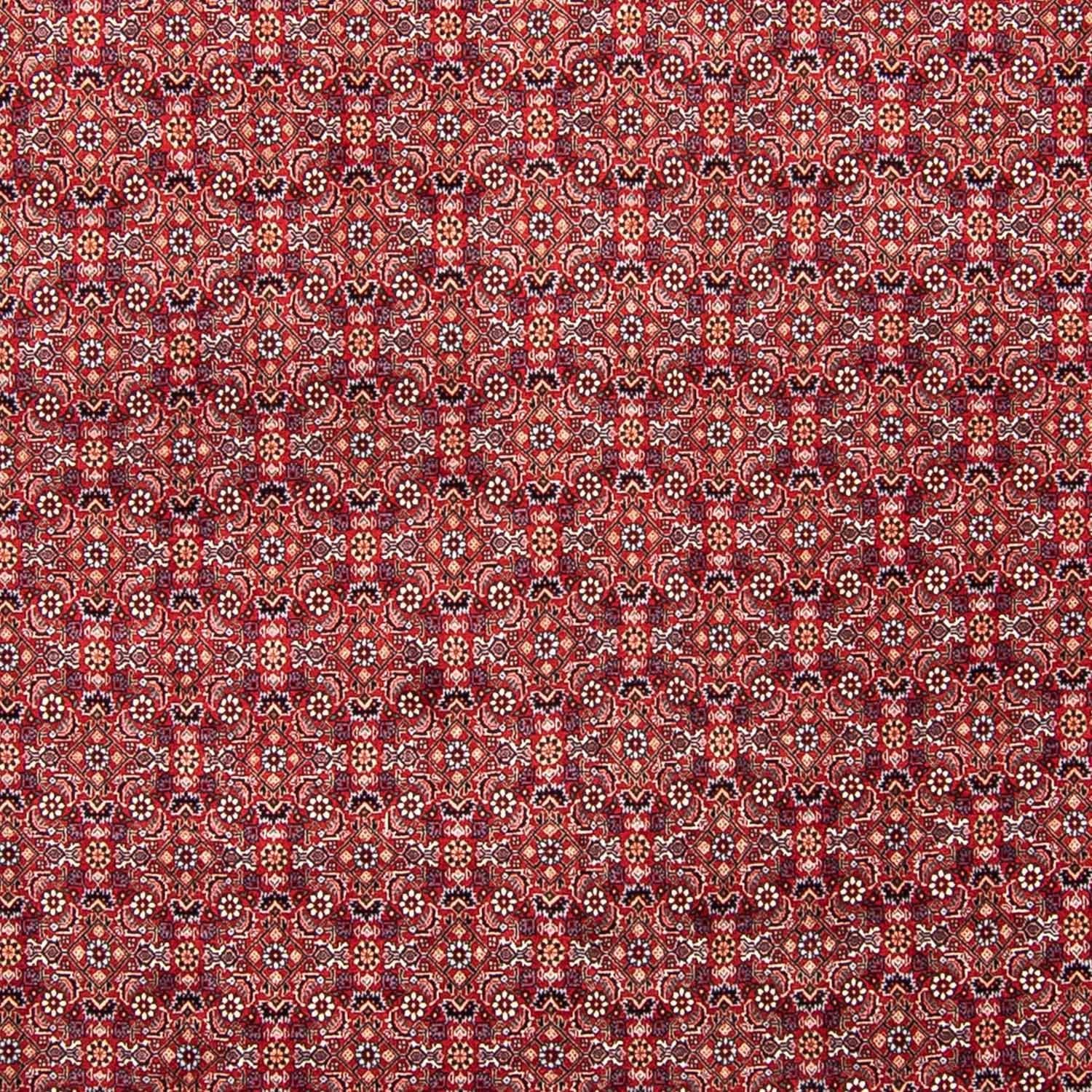 Tapis persan - Bidjar - 347 x 248 cm - rouge