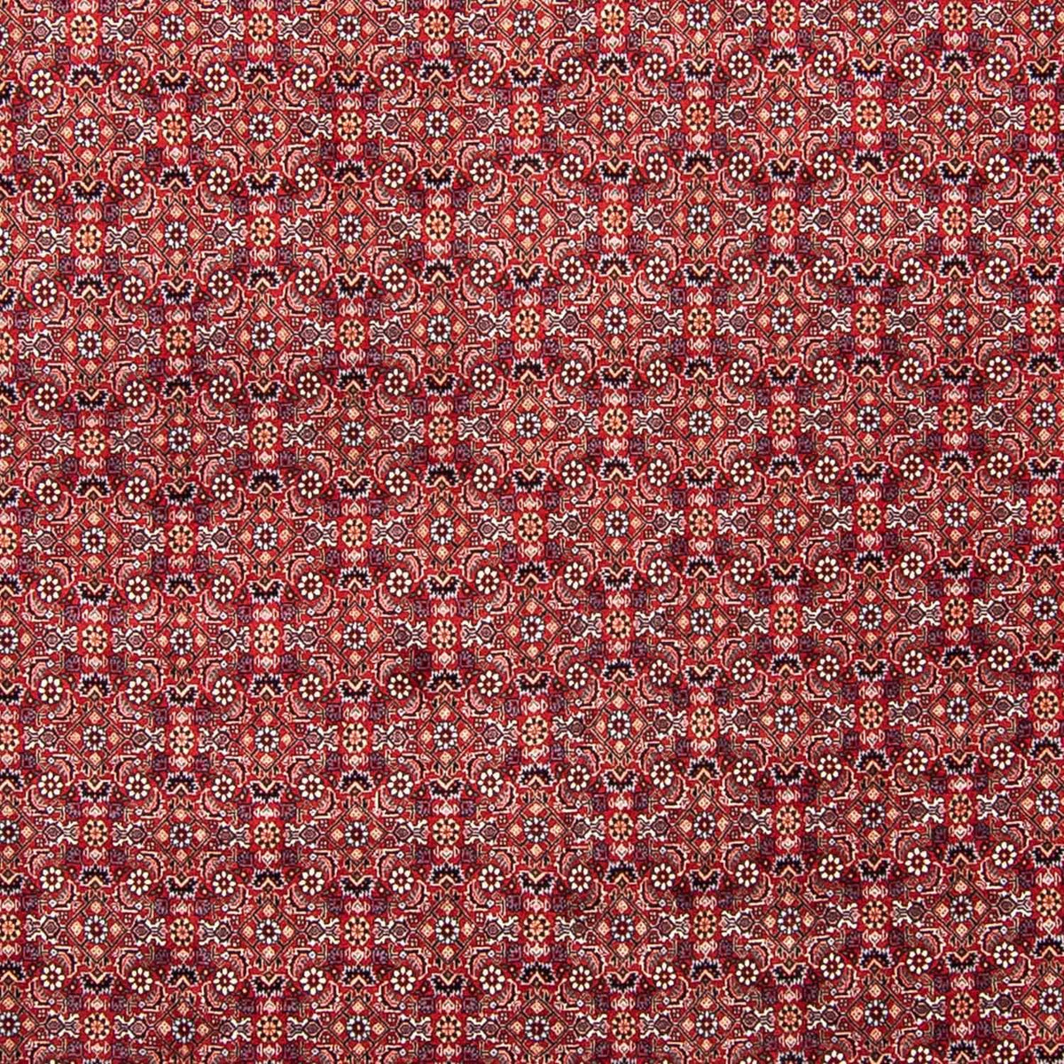Tapis persan - Bidjar - 347 x 248 cm - rouge