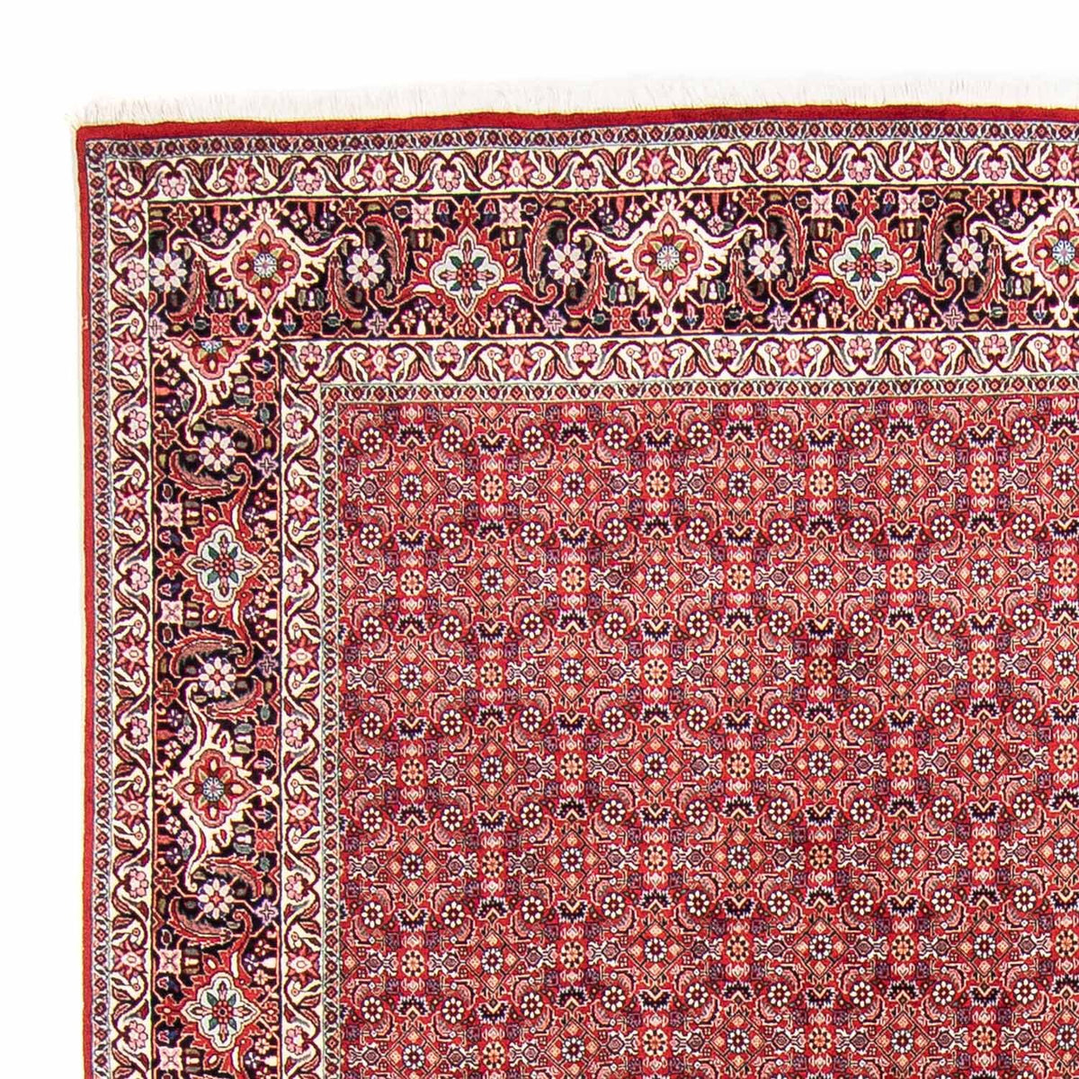 Tapis persan - Bidjar - 347 x 248 cm - rouge