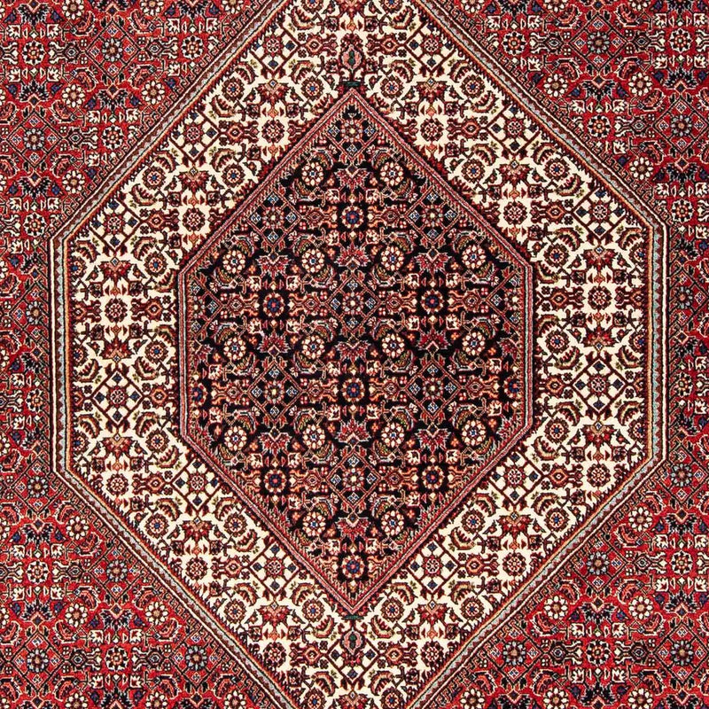Tapis persan - Bidjar - 254 x 171 cm - rouge foncé