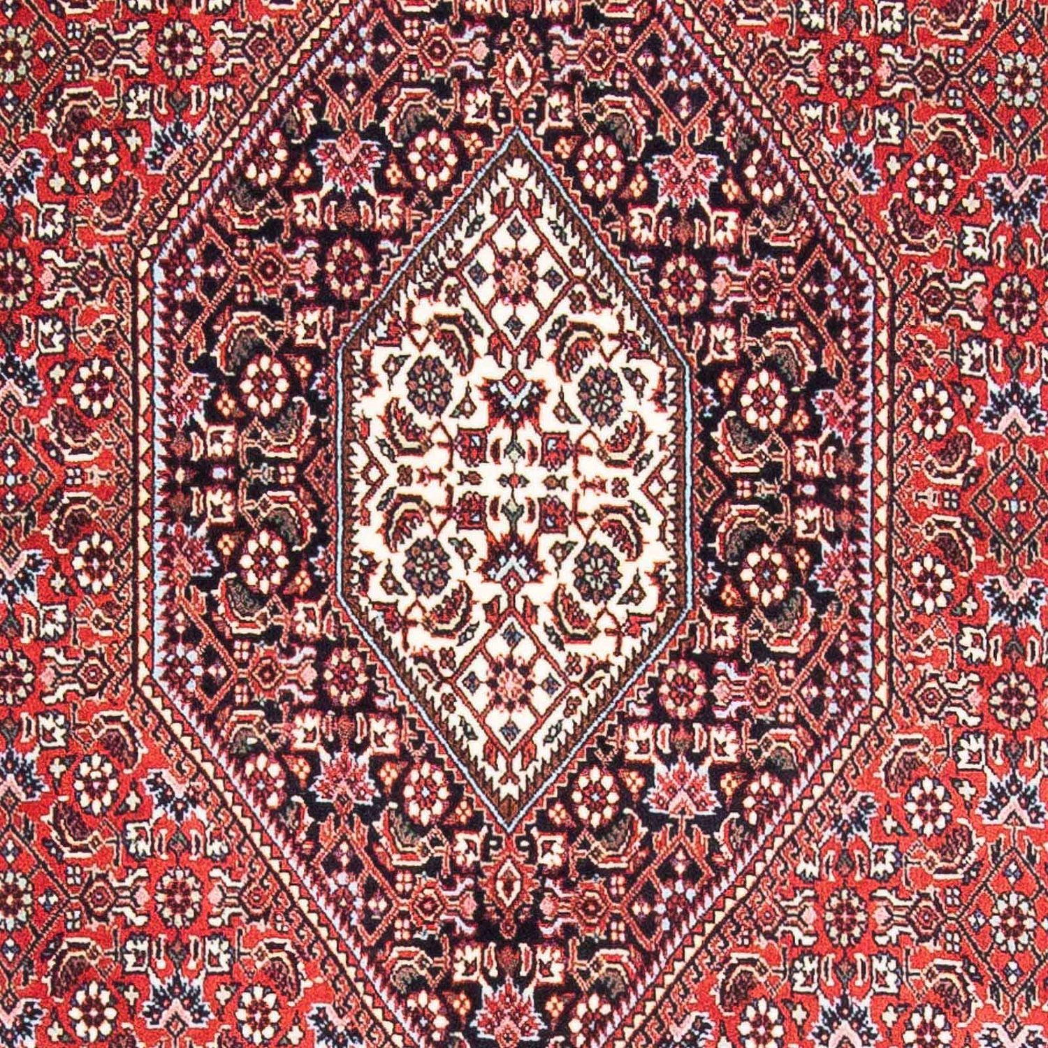 Tapis persan - Bidjar - 169 x 111 cm - rouge