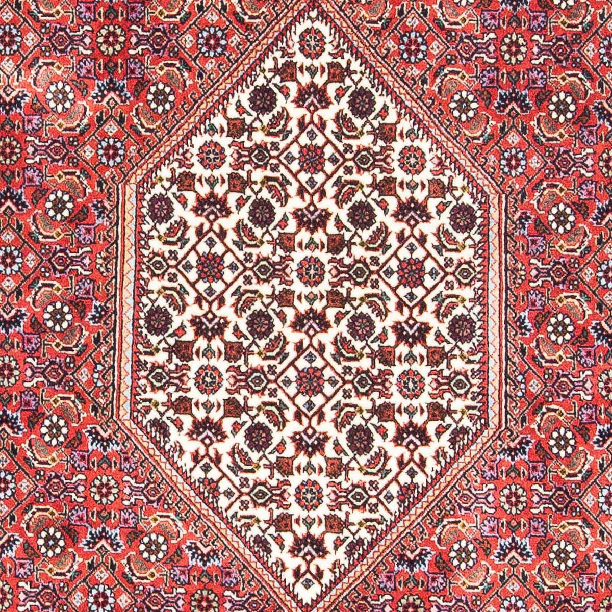 Tapis persan - Bidjar - 178 x 110 cm - rouge