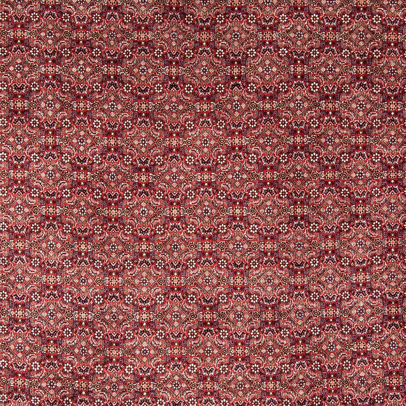 Tapis persan - Bidjar - 350 x 246 cm - rouge
