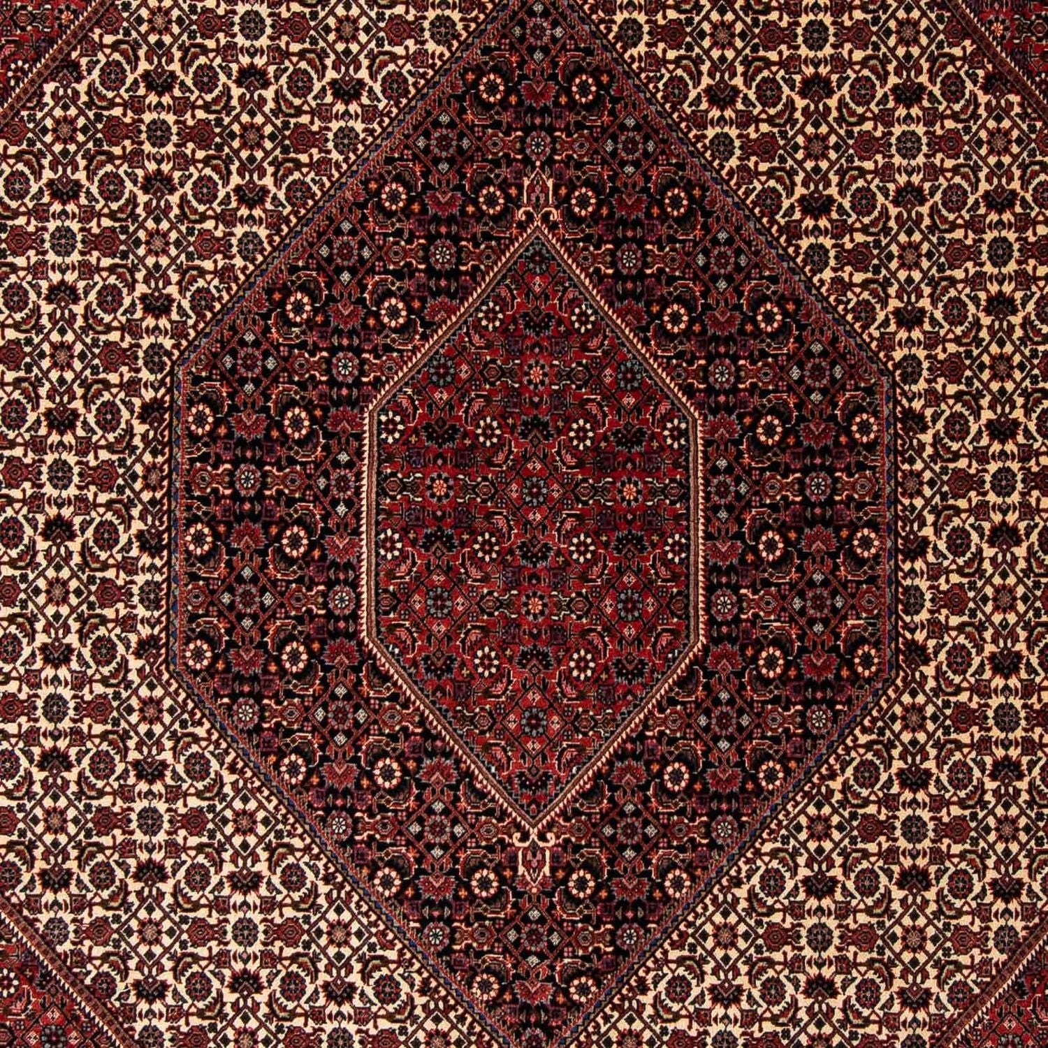 Tapis persan - Bidjar - 245 x 202 cm - rouge foncé