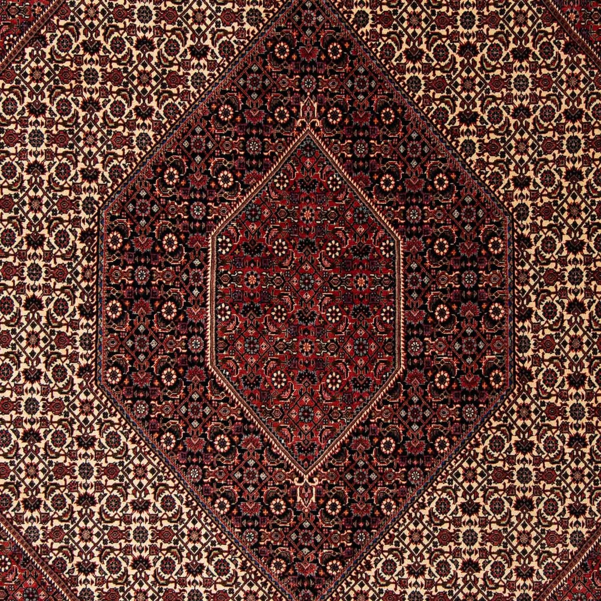 Tapis persan - Bidjar - 245 x 202 cm - rouge foncé