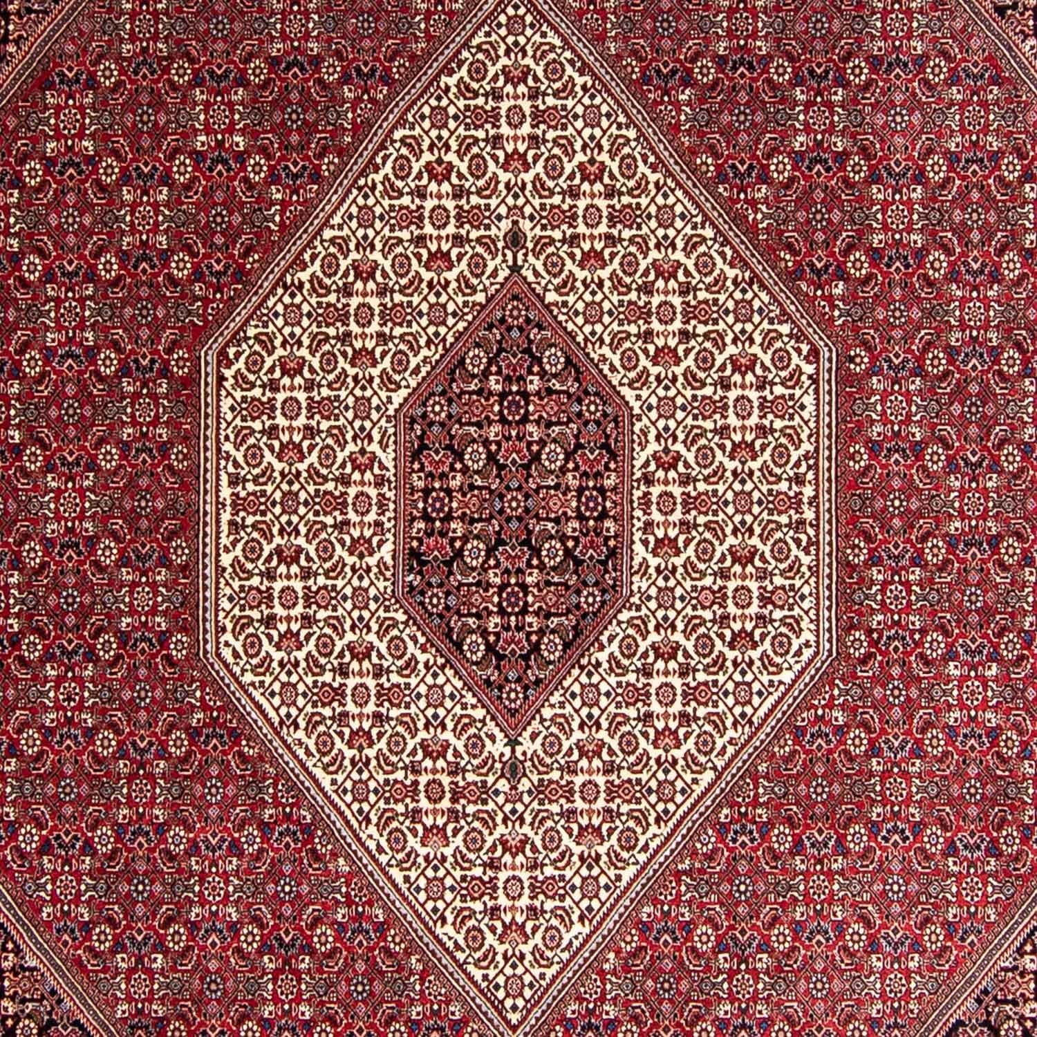 Tapis persan - Bidjar - 343 x 252 cm - rouge