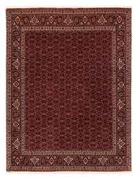 Tapis persan - Bidjar - 256 x 202 cm - rouge foncé