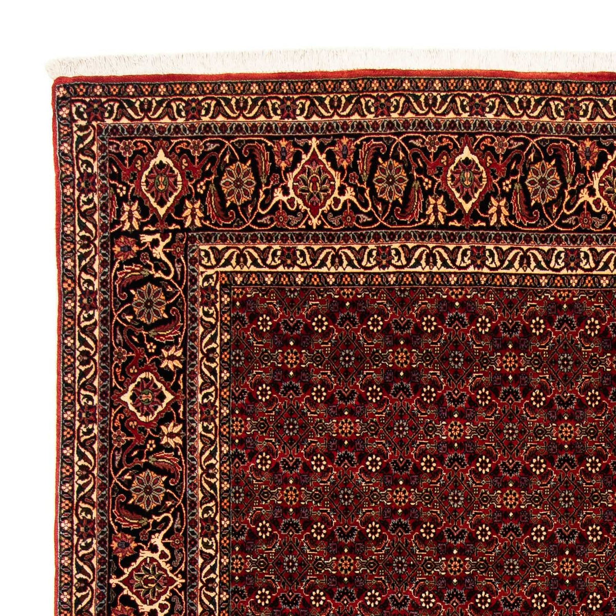Tapis persan - Bidjar - 256 x 202 cm - rouge foncé