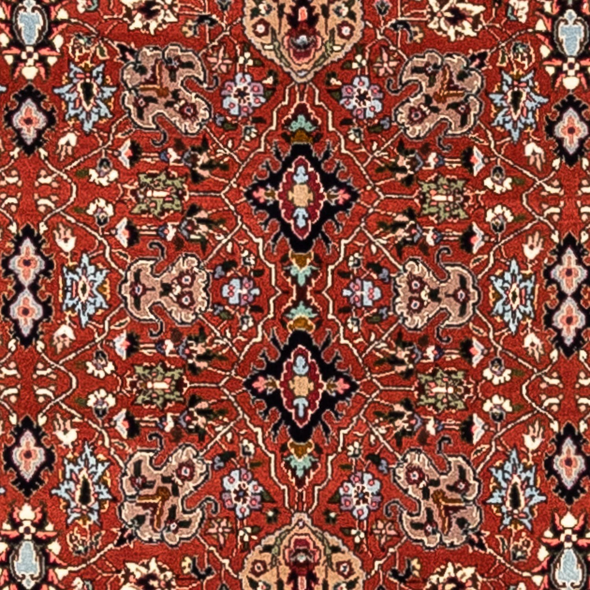 Tapis persan - Bidjar - 313 x 201 cm - rouge