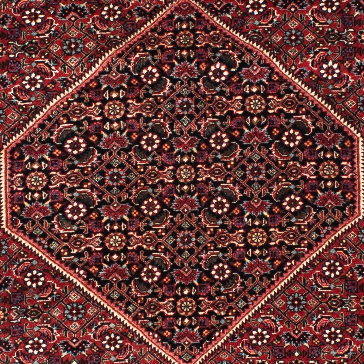 Tapis de couloir Tapis persan - Bidjar - 198 x 74 cm - rouge foncé