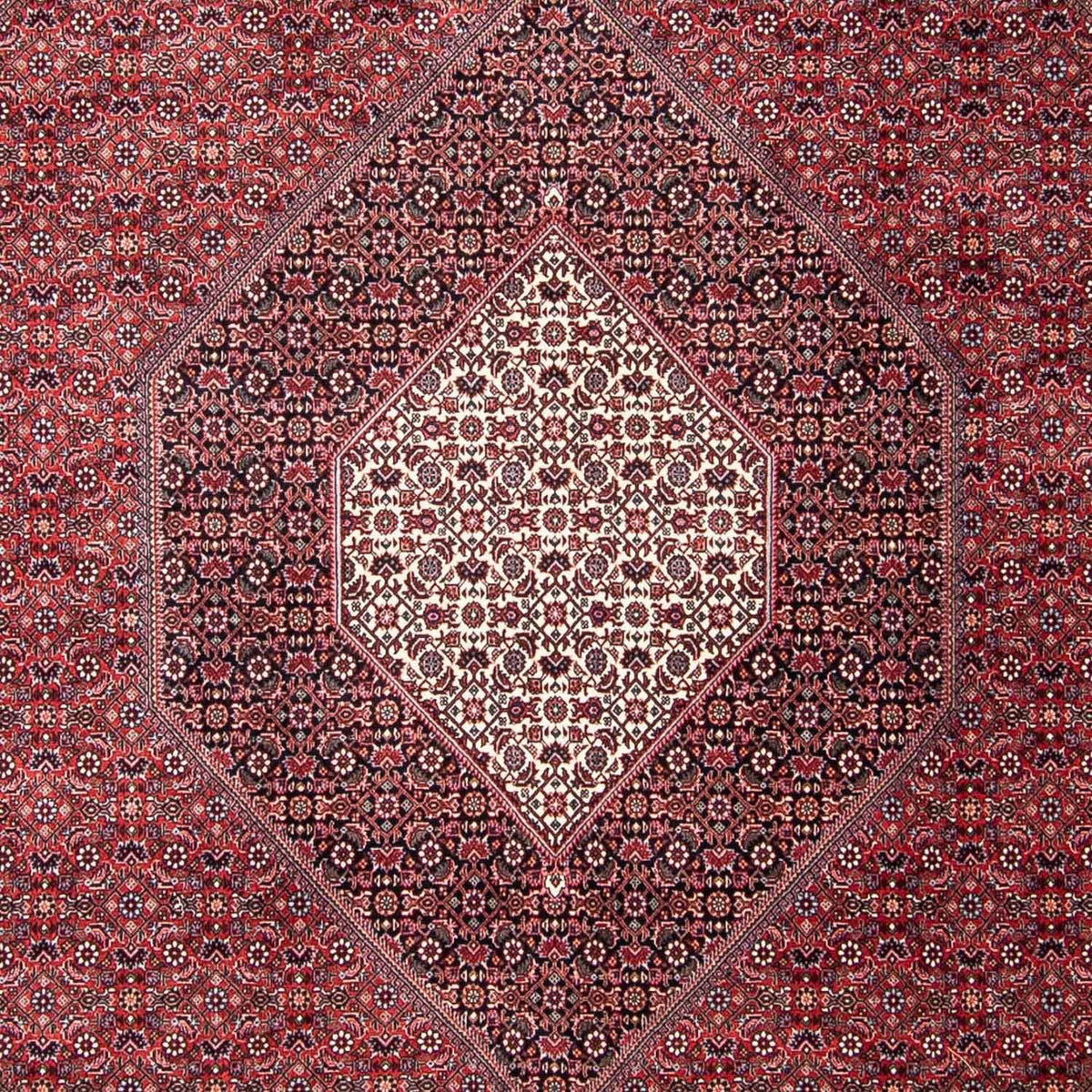 Tapis persan - Bidjar - 302 x 253 cm - rouge