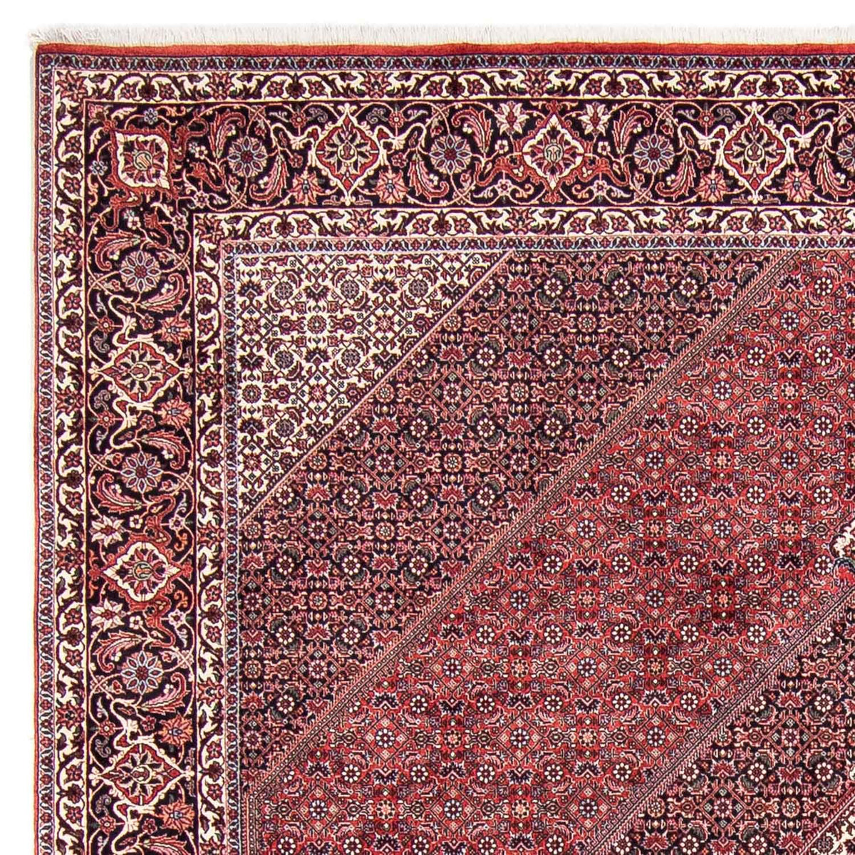 Tapis persan - Bidjar - 302 x 253 cm - rouge