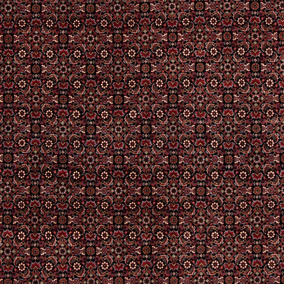 Tapis persan - Bidjar - 248 x 198 cm - rouge foncé