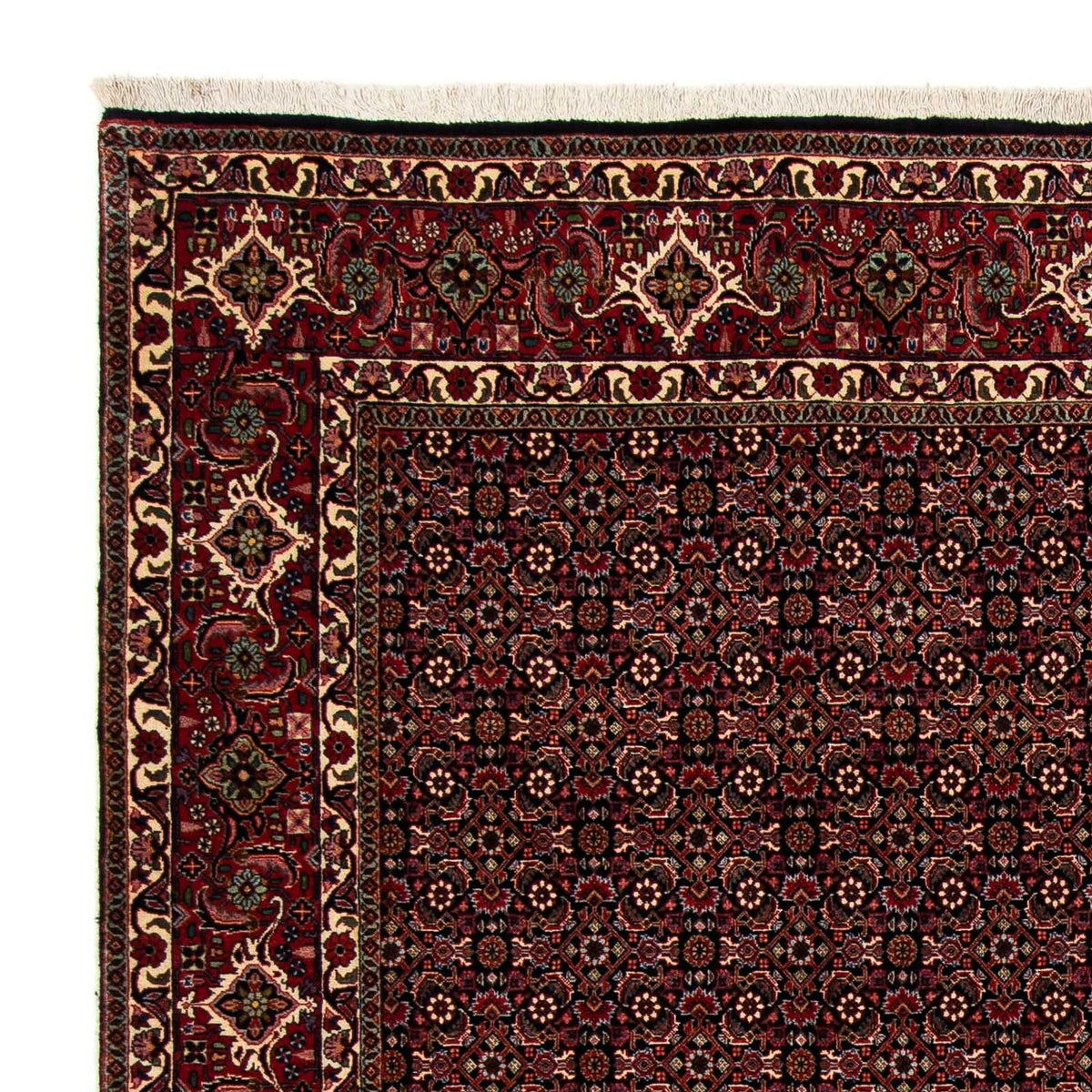 Tapis persan - Bidjar - 248 x 198 cm - rouge foncé