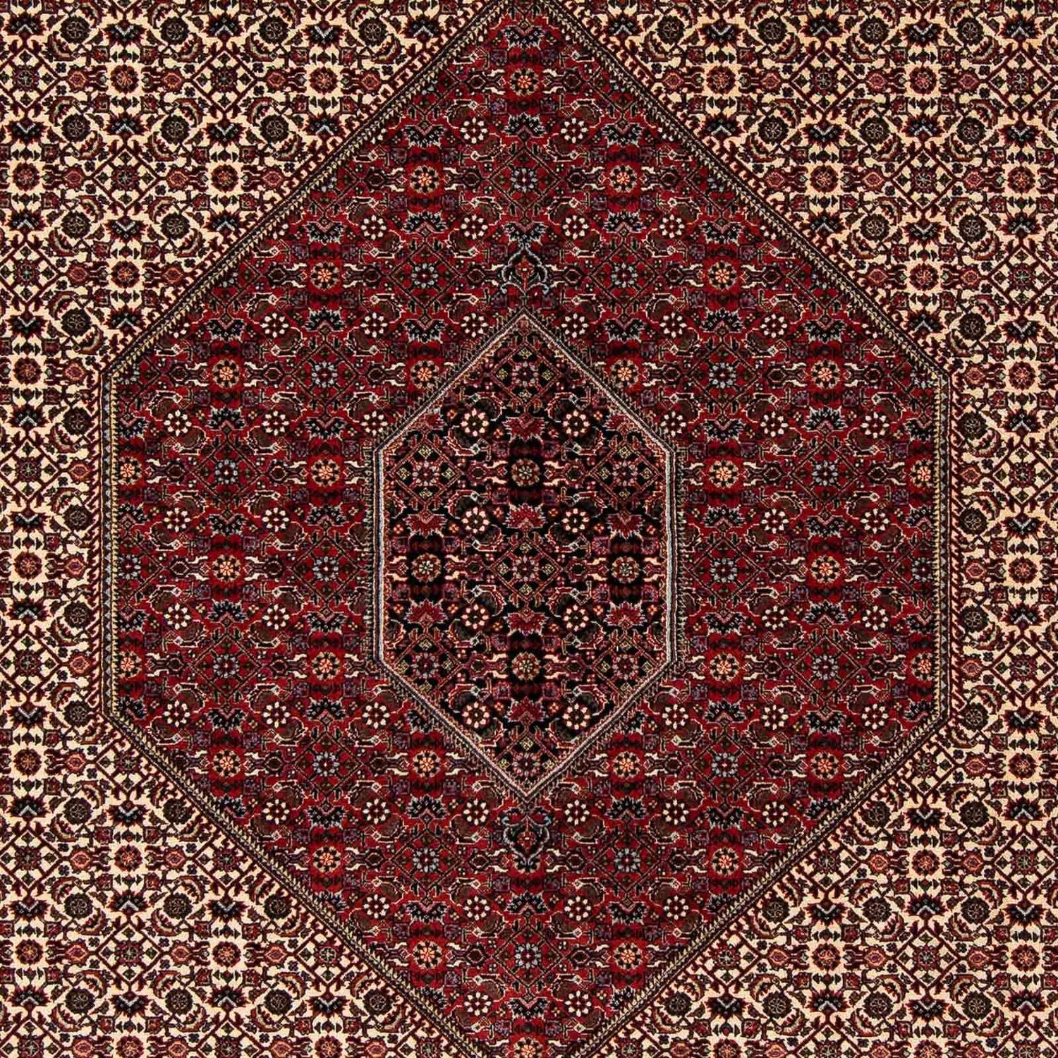 Tapis persan - Bidjar - 262 x 205 cm - rouge foncé